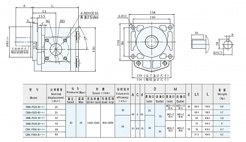 Насос шестеренный CBN-F550-BFP.  2