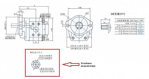 Насос шестеренный CBTJ-G25-ALФ11 (Резьбовое подключение).  4